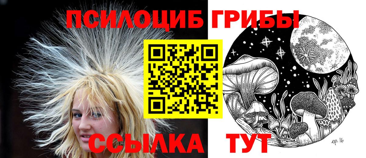 Рыбинск  Псилоцибиновые грибы ЛСД  Вход с VPN  цены   Псилоцибиновые грибы MAGIC MUSHROOMS 